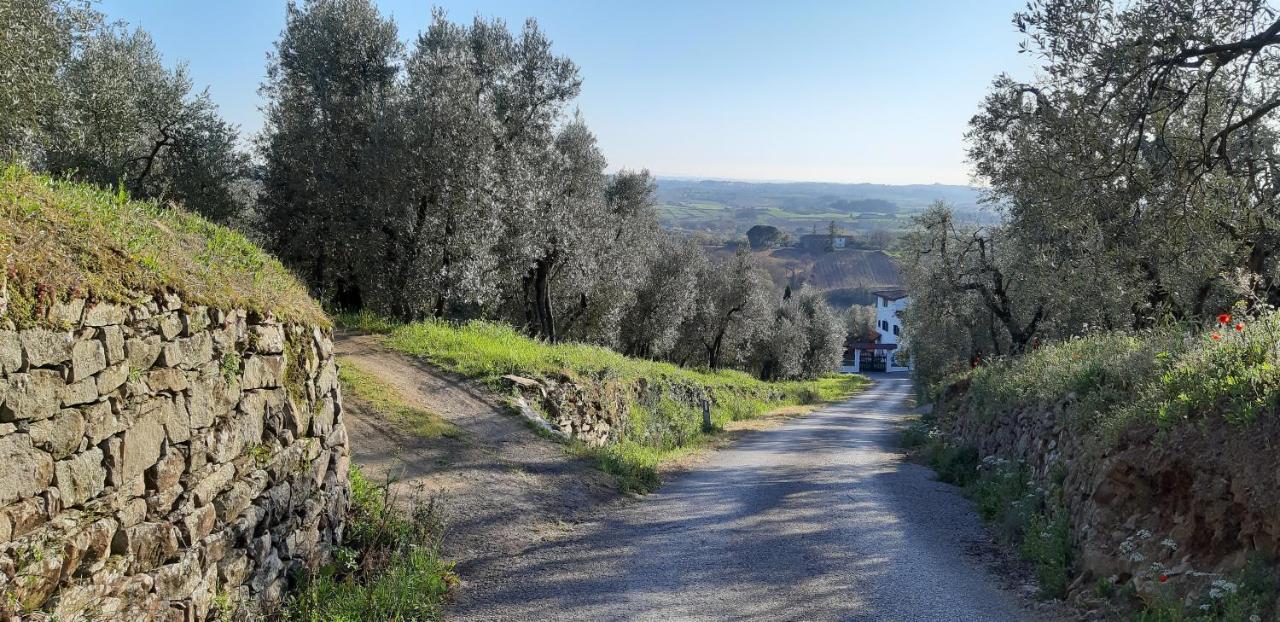 Villa Il Fienile Di Tigliano à Vinci Extérieur photo