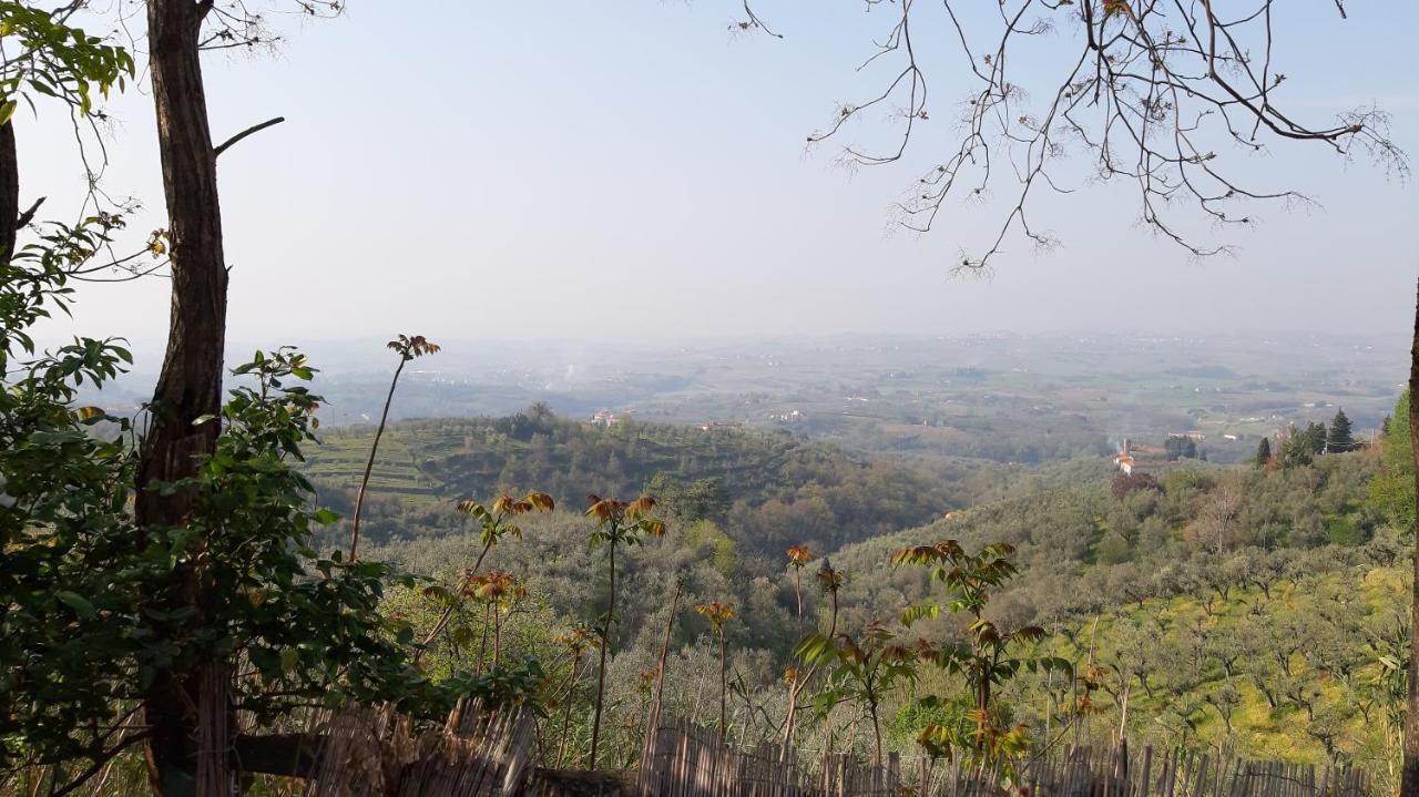Villa Il Fienile Di Tigliano à Vinci Extérieur photo